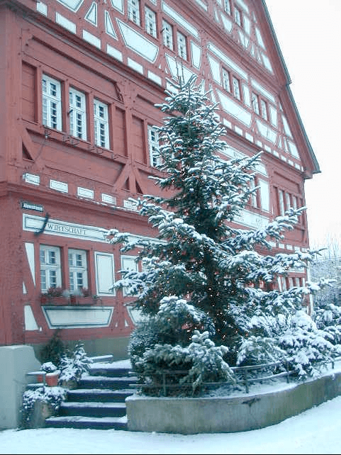 Winter